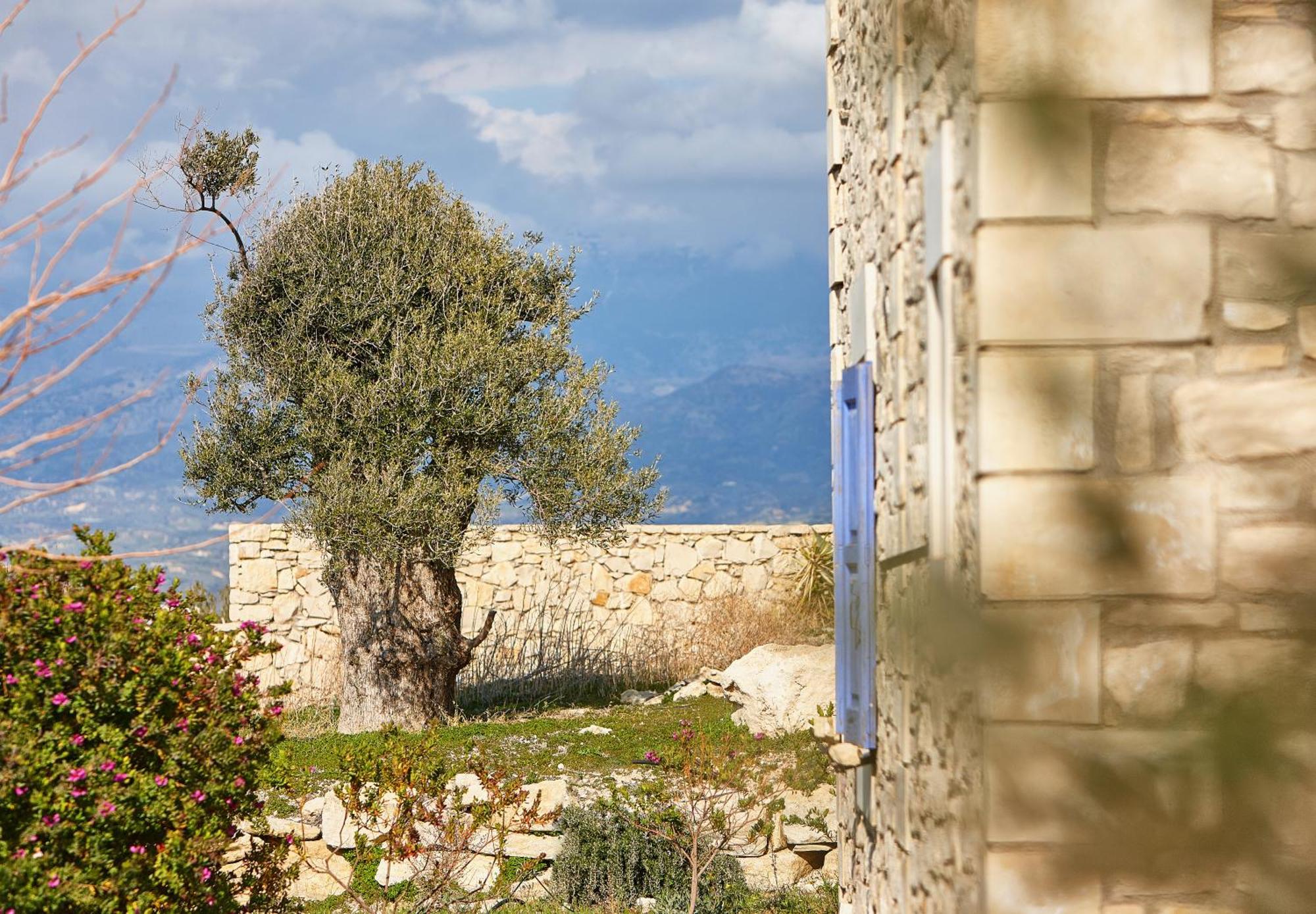 Orelia Cretan Deluxe Apartments Kamilari Buitenkant foto